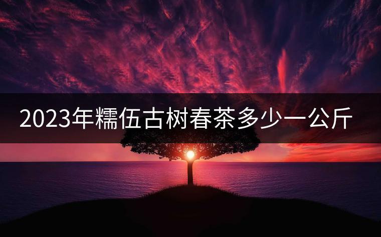 2023年糯伍古樹春茶多少一公斤？