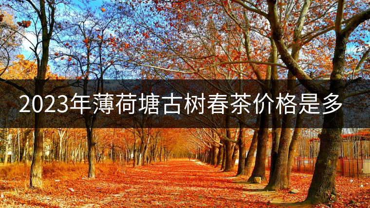 2023年薄荷塘古樹春茶價(jià)格是多少？