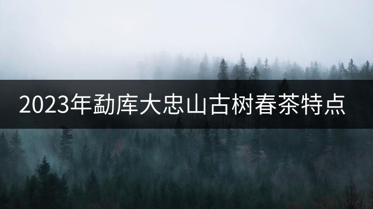 2023年勐庫(kù)大忠山古樹春茶特點(diǎn)?
