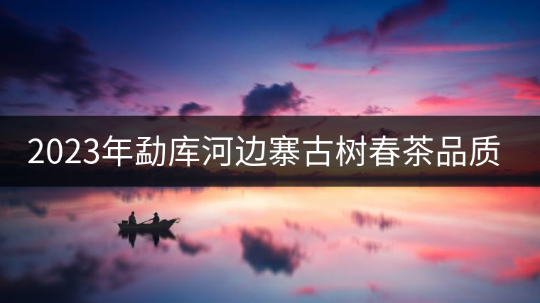 2023年勐庫(kù)河邊寨古樹(shù)春茶品質(zhì)如何？