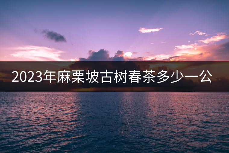 2023年麻栗坡古樹春茶多少一公斤？