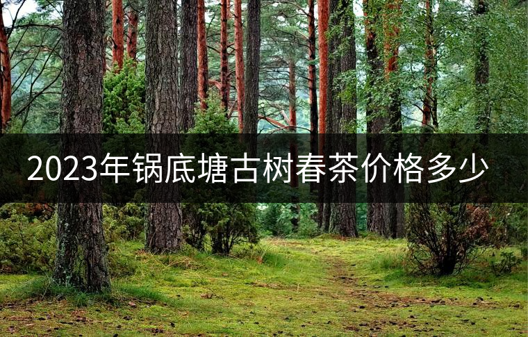 2023年鍋底塘古樹(shù)春茶價(jià)格多少？