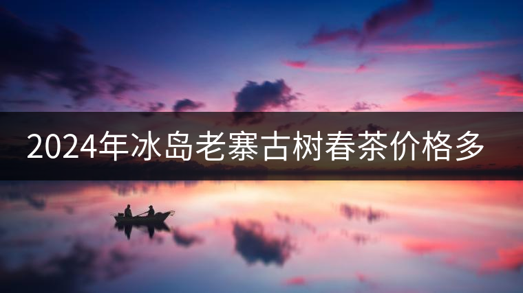 2024年冰島老寨古樹(shù)春茶價(jià)格多少？