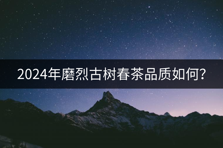 2024年磨烈古樹春茶品質如何？