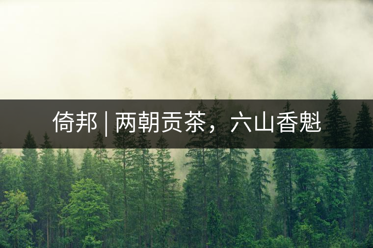 倚邦 | 兩朝貢茶，六山香魁