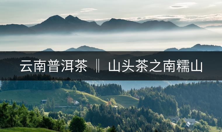 云南普洱茶 ‖ 山頭茶之南糯山 云南普洱茶 ‖ 山頭茶之南糯山