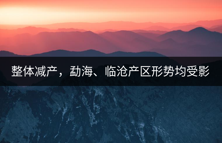 整體減產(chǎn)，勐海、臨滄產(chǎn)區(qū)形勢(shì)均受影響