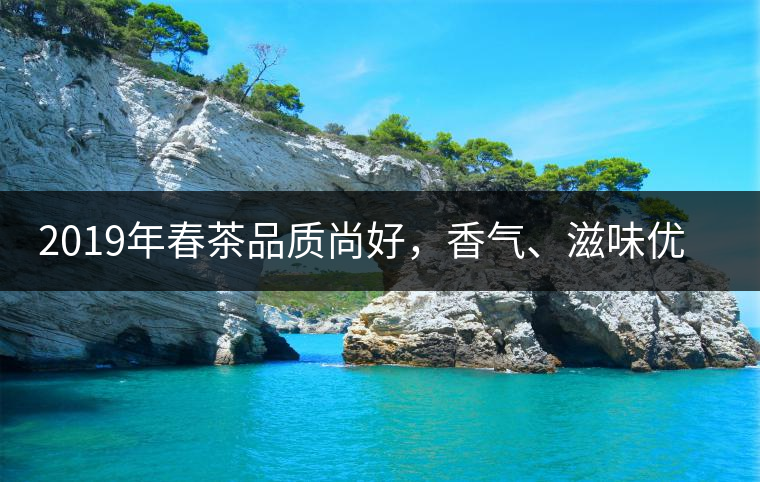 2019年春茶品質(zhì)尚好，香氣、滋味優(yōu)于去年