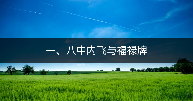 一、八中內(nèi)飛與福祿牌