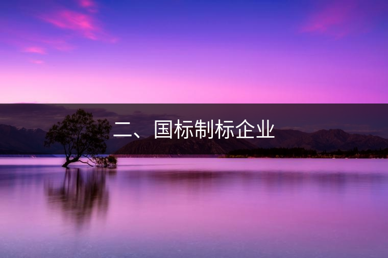 二、國(guó)標(biāo)制標(biāo)企業(yè)