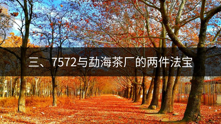 三、7572與勐海茶廠(chǎng)的兩件法寶