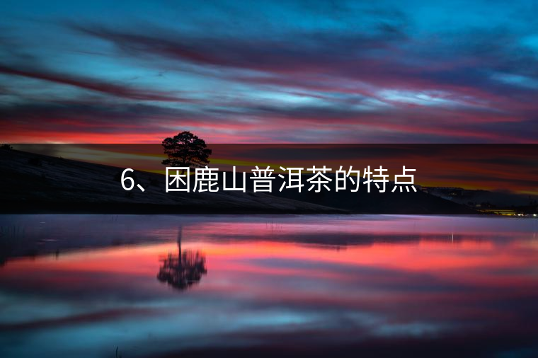 6、困鹿山普洱茶的特點