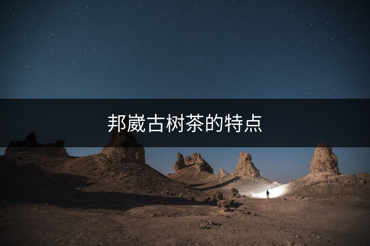 邦崴古樹茶的特點