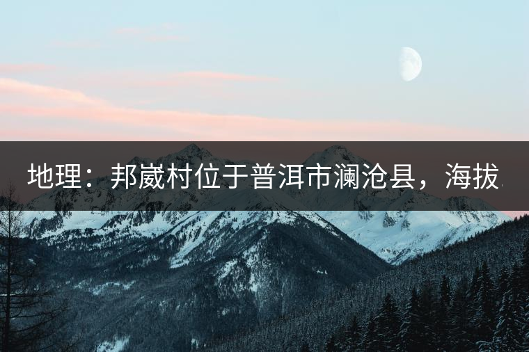 地理：邦崴村位于普洱市瀾滄縣，海拔1800-2000多米，這里的古樹茶被原始森林環(huán)抱，遠離塵囂污染，沒有農(nóng)藥化肥。