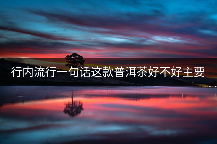 行內(nèi)流行一句話這款普洱茶好不好主要還看尾水，雖然比較片面但是也有一定道理。