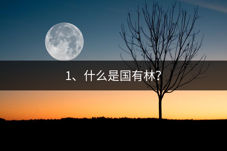 1、什么是國有林？