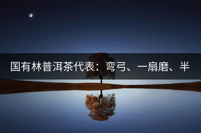 國有林普洱茶代表：彎弓、一扇磨、半坡老寨