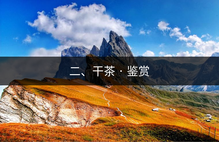 二、干茶 · 鑒賞