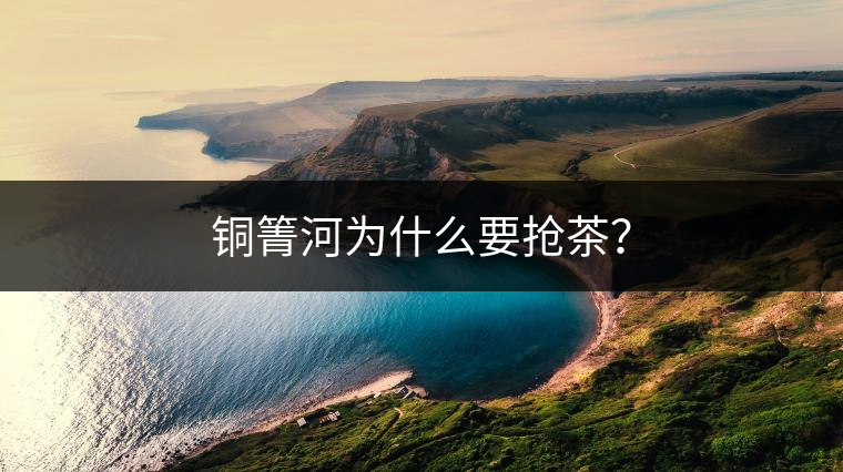 銅箐河為什么要搶茶？