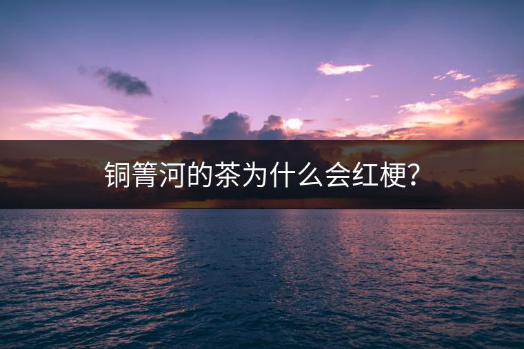 銅箐河的茶為什么會(huì)紅梗？