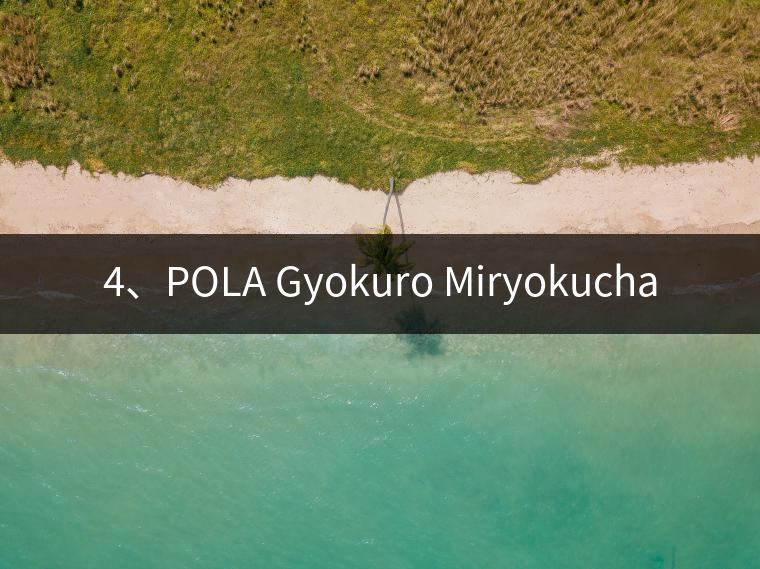 4、POLA Gyokuro Miryokucha