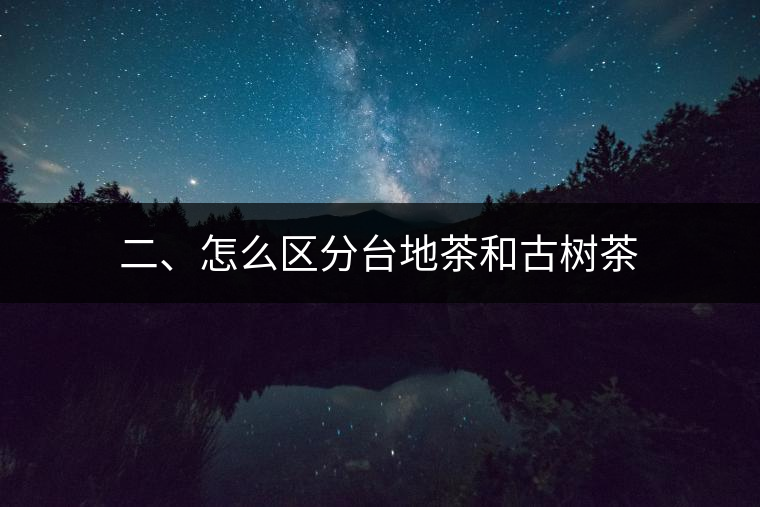 二、怎么區(qū)分臺(tái)地茶和古樹(shù)茶