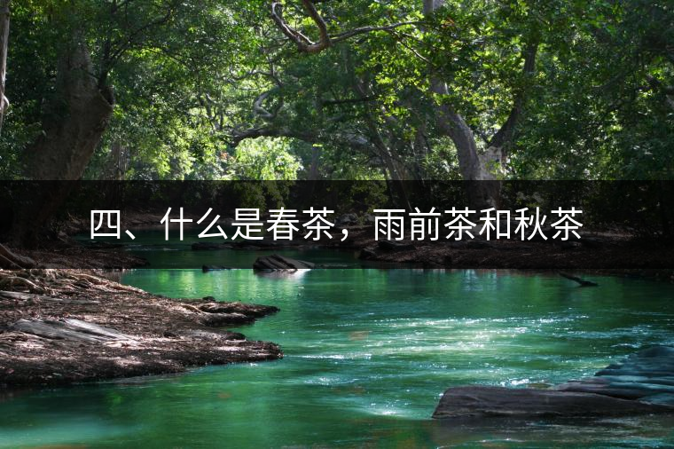 四、什么是春茶，雨前茶和秋茶