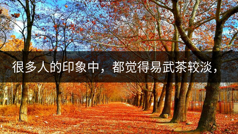 很多人的印象中，都覺得易武茶較淡，但存放幾年后，再喝又覺得茶味茶氣變濃了。我們就這個問題，考察了易武古茶山，和走訪了當地茶農。我們發(fā)現這跟易武古樹茶的茶質和茶農制茶的傳統(tǒng)工藝有關。