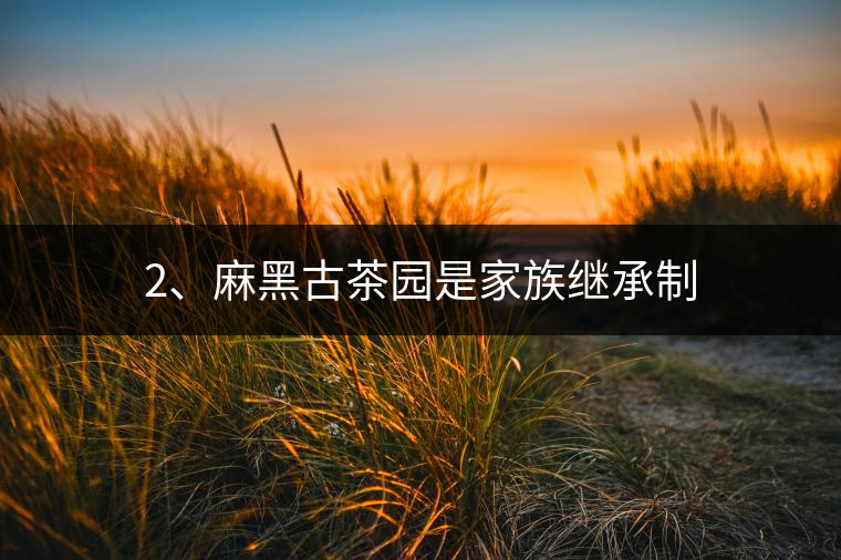 2、麻黑古茶園是家族繼承制