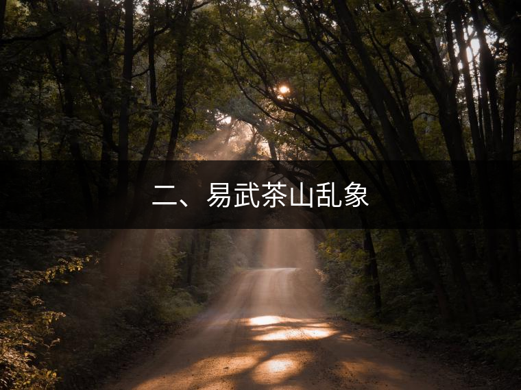二、易武茶山亂象