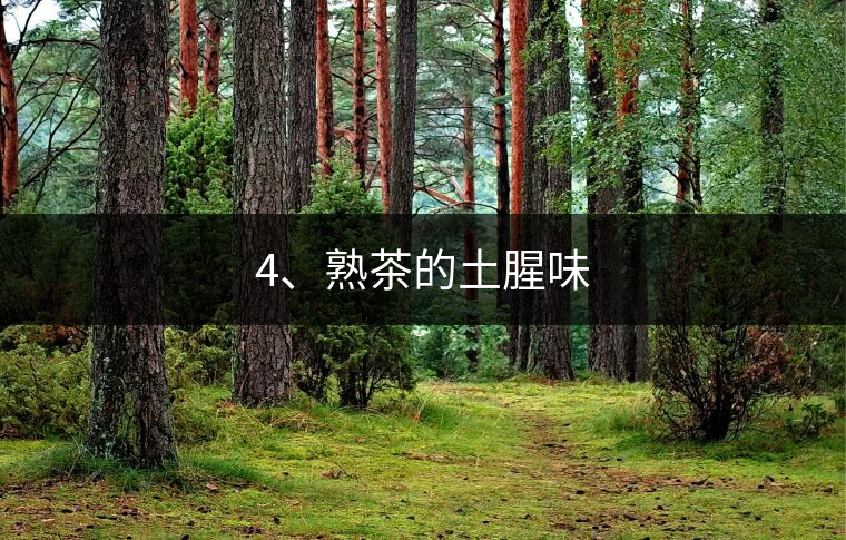 4、熟茶的土腥味
