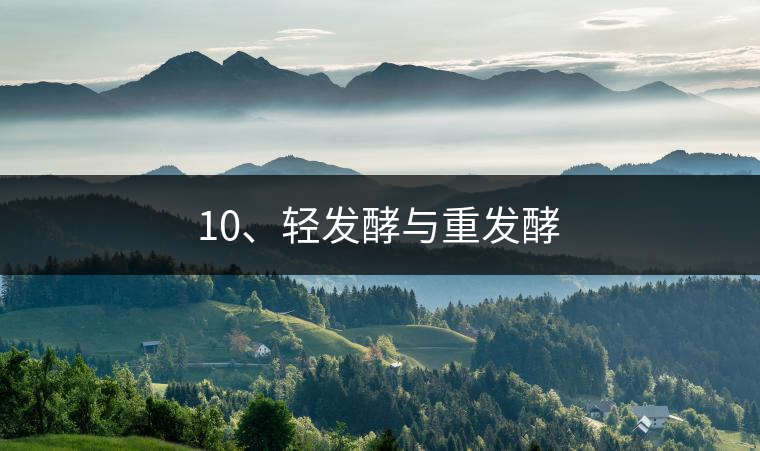 10、輕發(fā)酵與重發(fā)酵