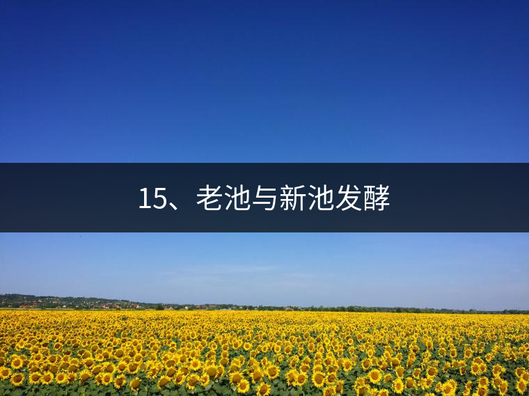 15、老池與新池發(fā)酵