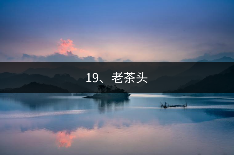 19、老茶頭