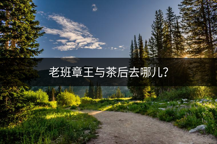 老班章王與茶后去哪兒？