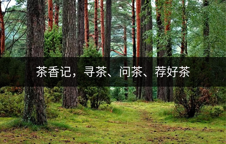 茶香記，尋茶、問茶、薦好茶