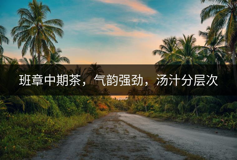 班章中期茶，氣韻強(qiáng)勁，湯汁分層次