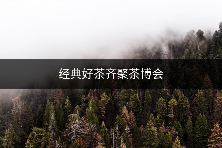經(jīng)典好茶齊聚茶博會