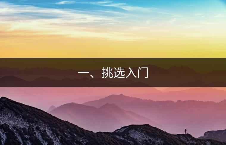 一、挑選入門(mén)