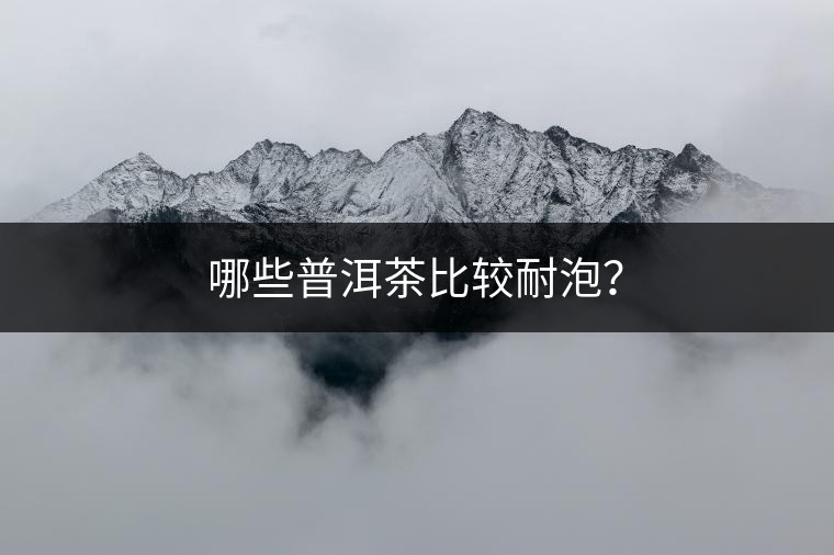 哪些普洱茶比較耐泡？