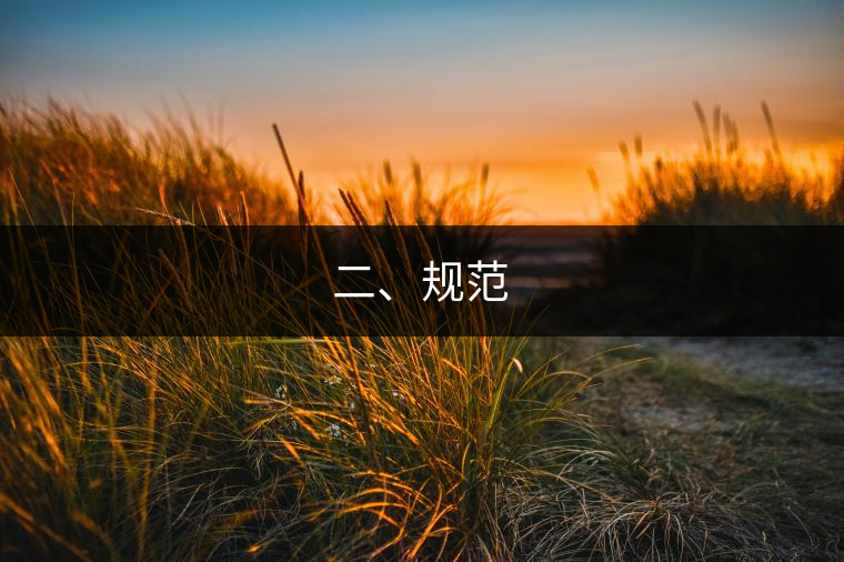 二、規(guī)范