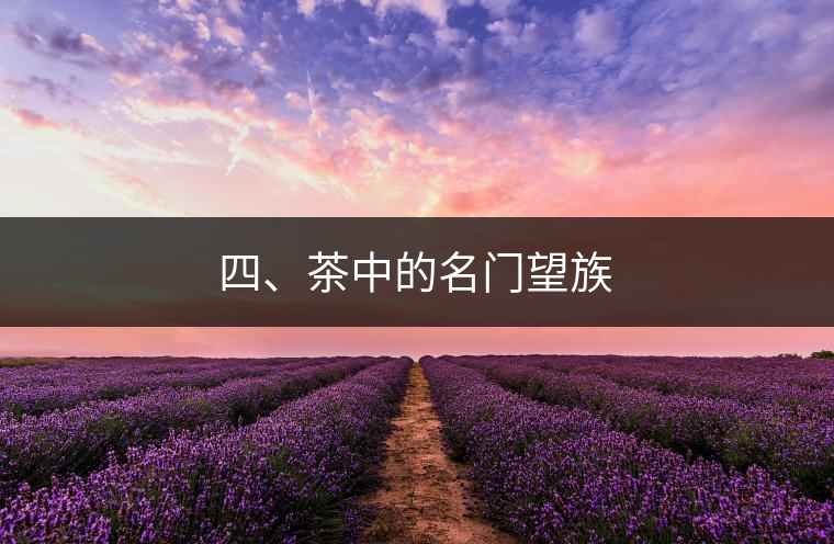 四、茶中的名門望族