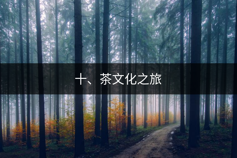 十、茶文化之旅