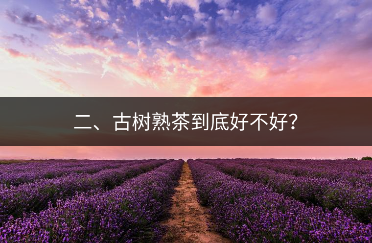 二、古樹熟茶到底好不好？