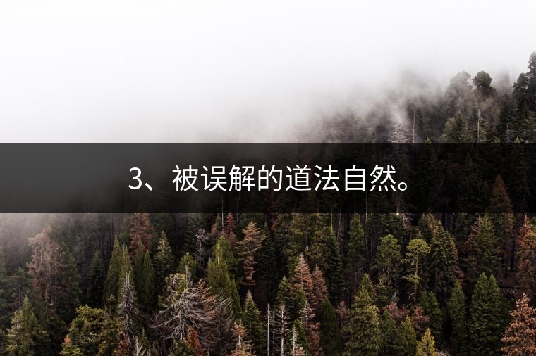3、被誤解的道法自然。