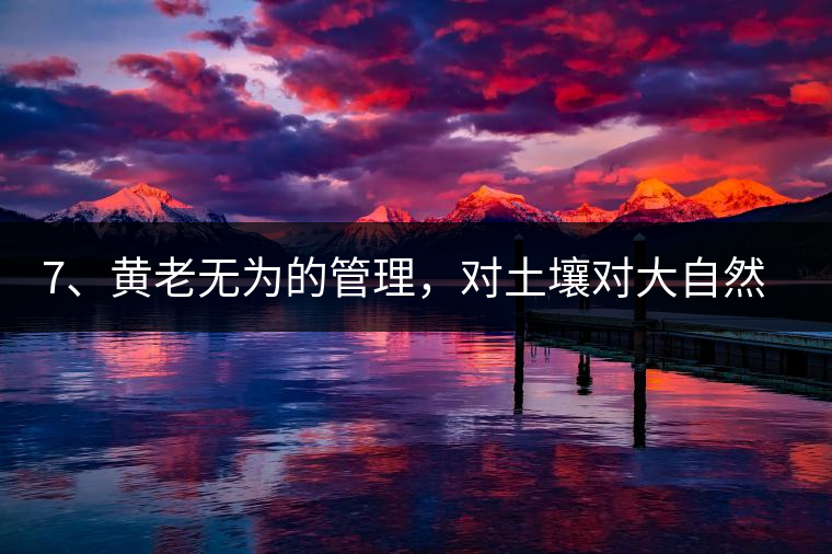 7、黃老無(wú)為的管理，對(duì)土壤對(duì)大自然的過(guò)渡依賴，對(duì)茶樹根疏忽。