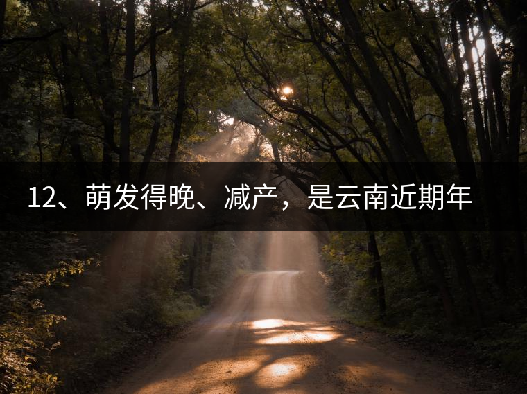 12、萌發(fā)得晚、減產(chǎn)，是云南近期年氣候變化在茶樹上的延遲反映。