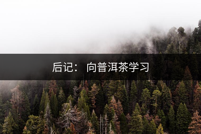 后記： 向普洱茶學(xué)習(xí)