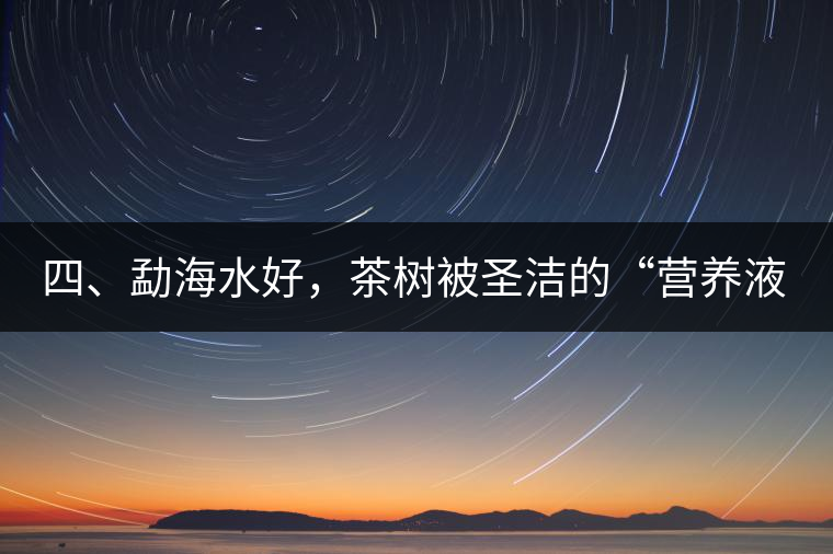 四、勐海水好，茶樹被圣潔的“營養(yǎng)液”所滋養(yǎng)
