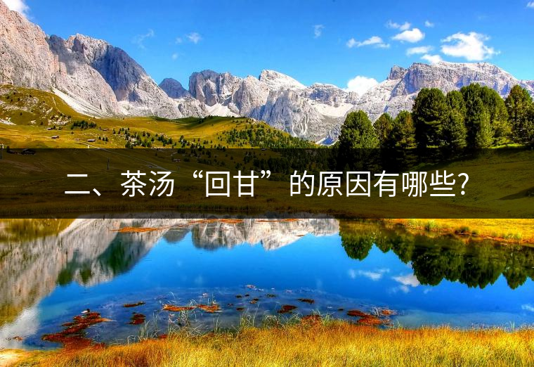 二、茶湯“回甘”的原因有哪些?